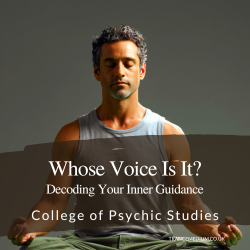 Whose Voices Is It? - Online Workshop